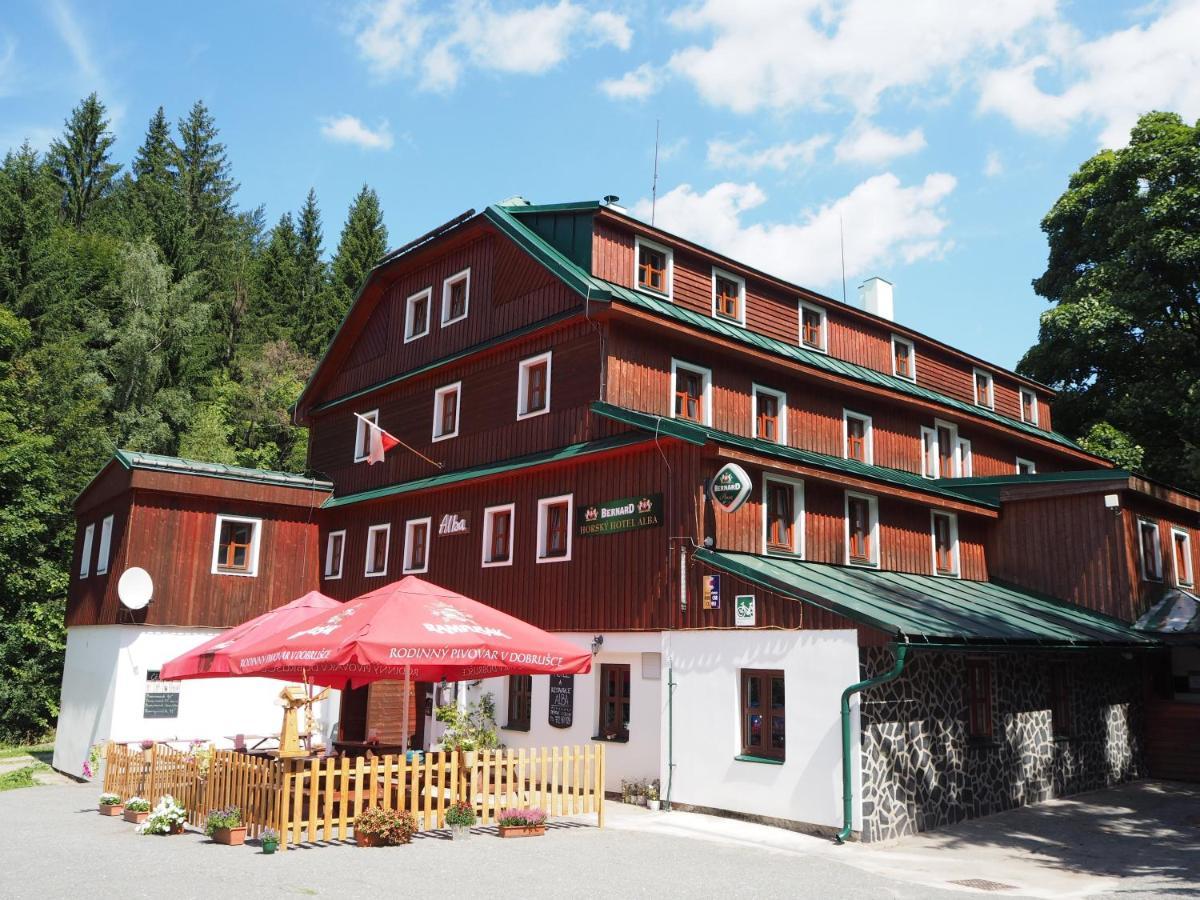 Hotel Alba Destne v Orlickych horach Exterior photo