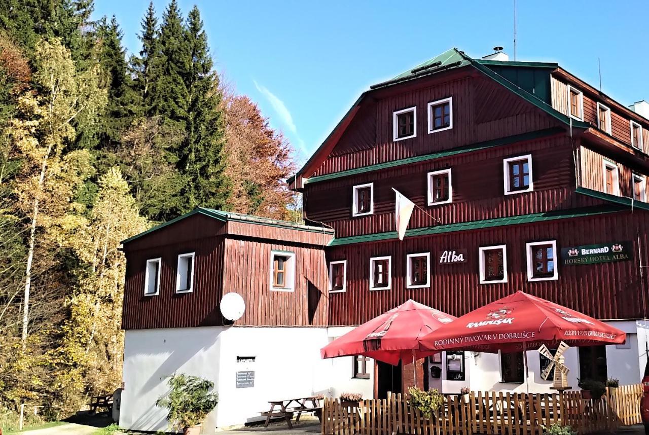 Hotel Alba Destne v Orlickych horach Exterior photo